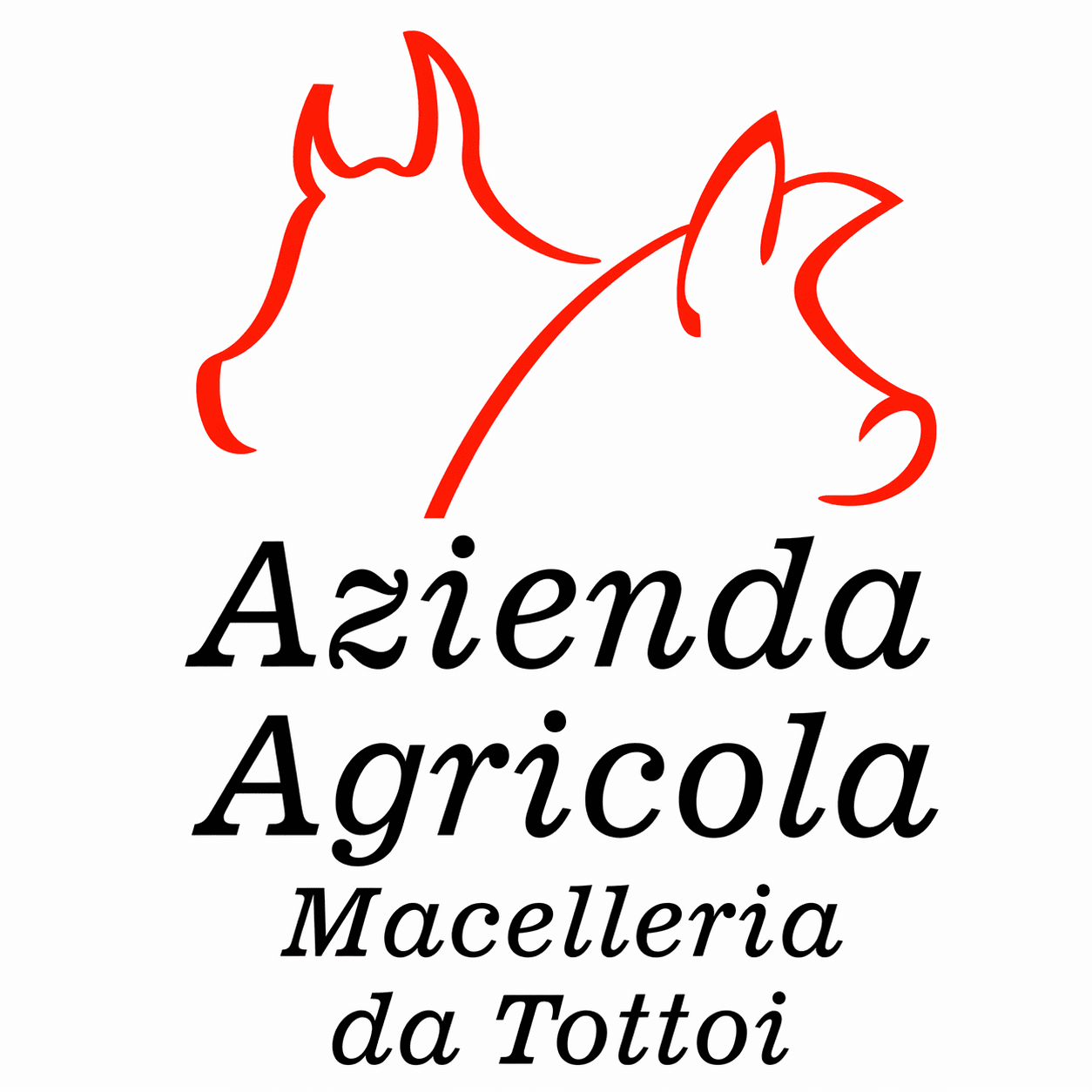 logo-SGF